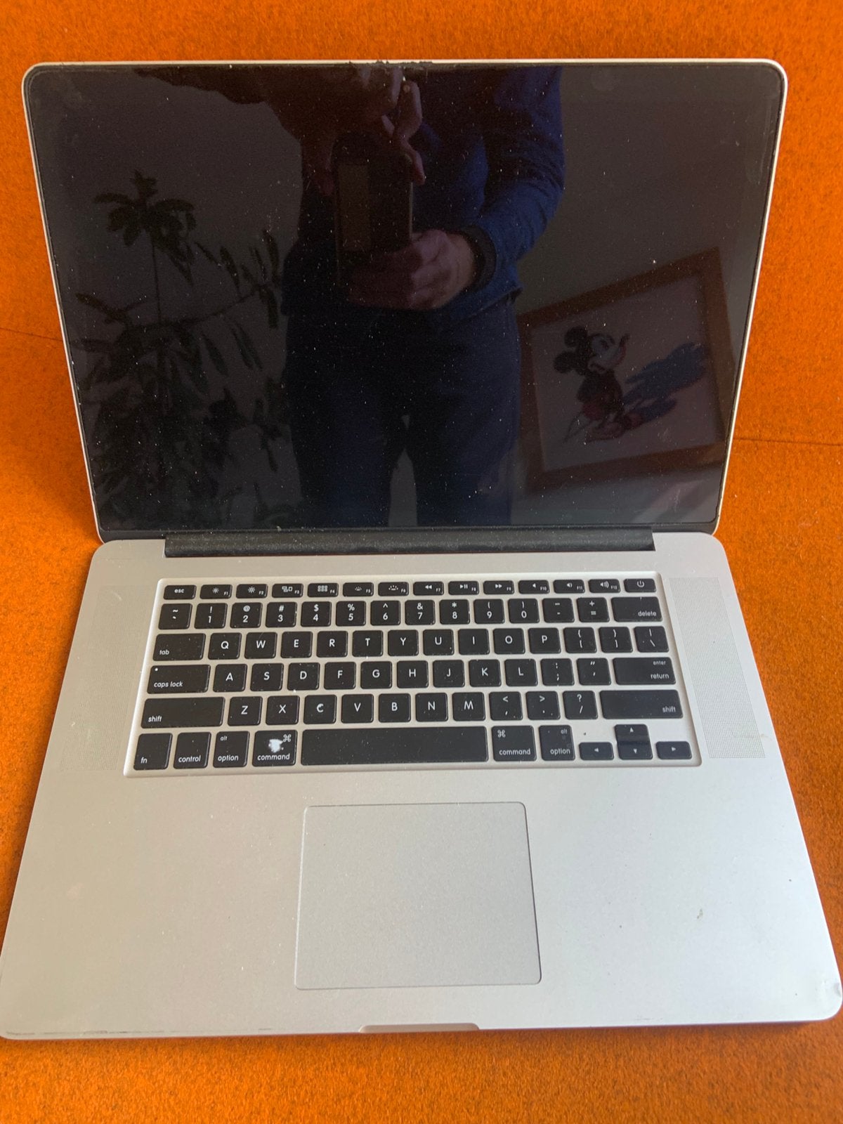 MacBook Pro 15 inch Retina voor onderdelen, MacBook Pro, 2 tot 3 Ghz, 15 inch, Ophalen of Verzenden