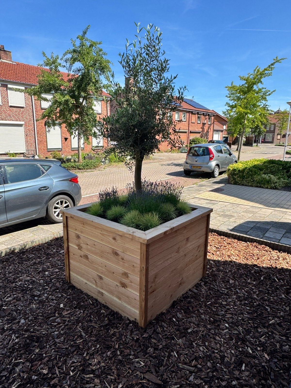 Exclusieve plantenbak met olijfboom | All-in geleverd, Tuin en Terras, Bloembakken en Plantenbakken, Ophalen, 100 cm of meer, Vierkant