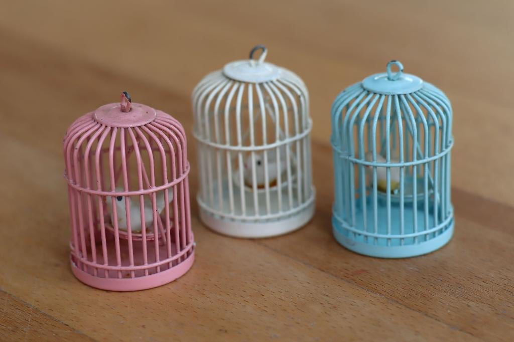 Blauwe, rose en wit metalen vogelkooi met vogeltje., Ophalen of Verzenden, Zo goed als nieuw, Gebruiksvoorwerp