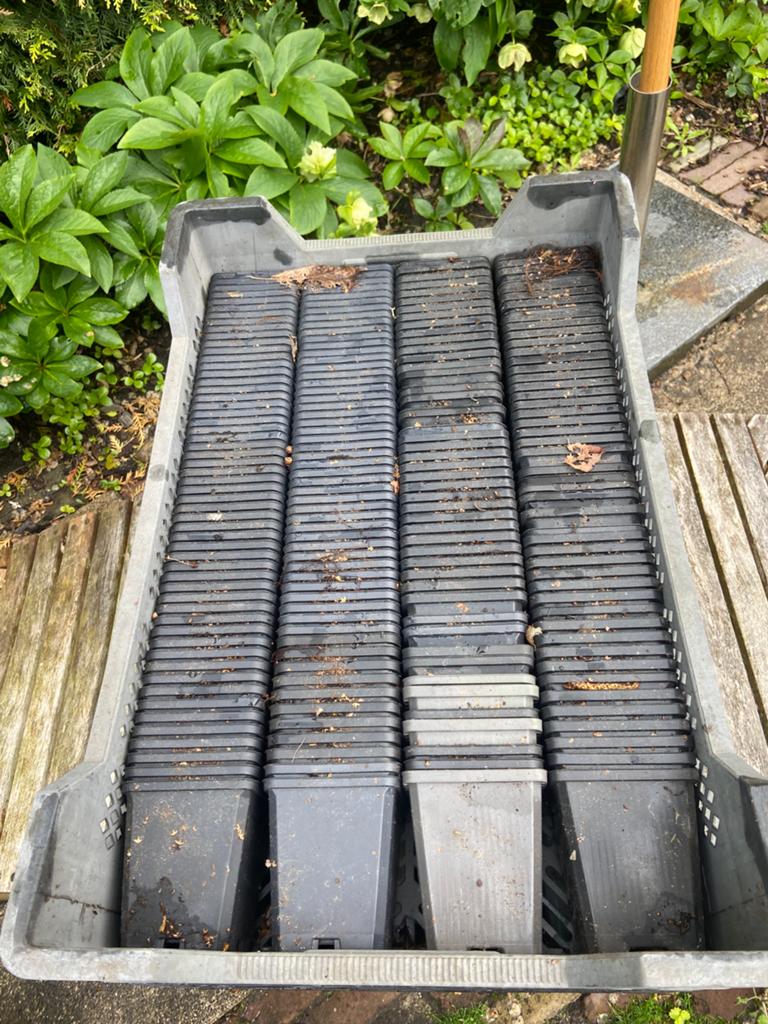 P9 potjes, ongeveer 170/180 stuks in een stapelbare kist, Tuin en Terras, Kweekspullen, Ophalen of Verzenden, Zo goed als nieuw