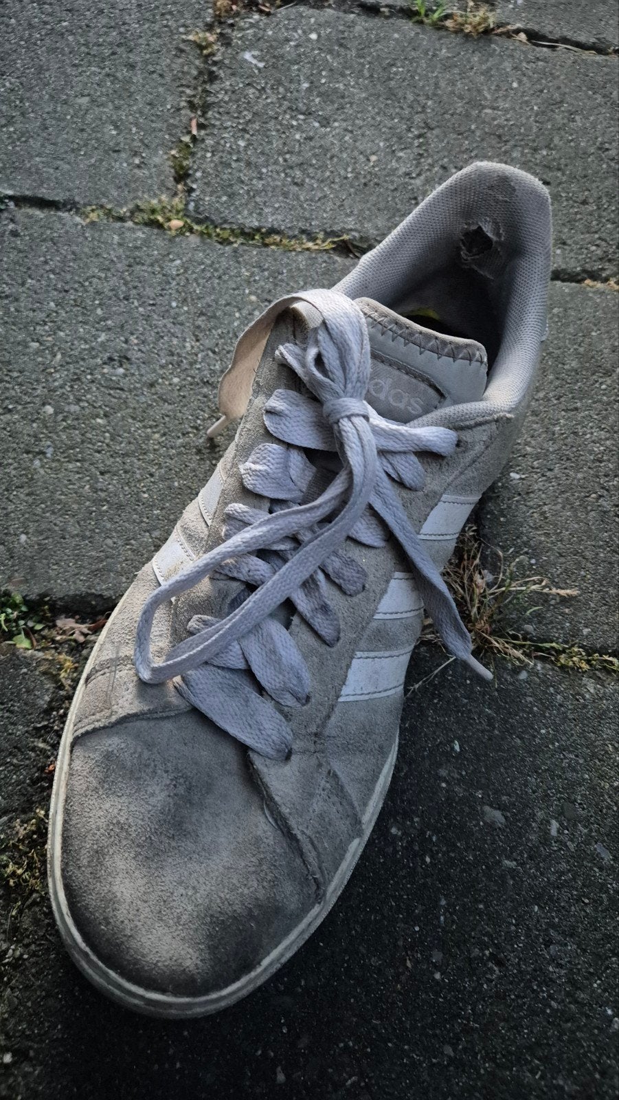 Gedragen Adidas Campus sneakers, Adidas, Ophalen of Verzenden, Sneakers of Gympen, Grijs