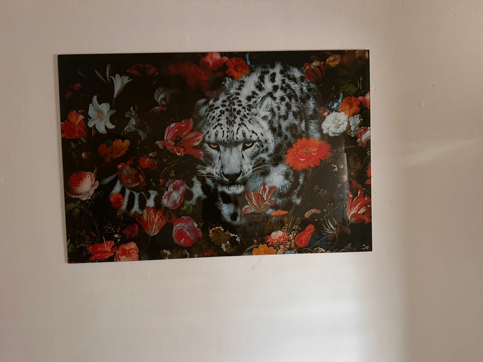 Glazen schilderij luipaard 80x120 cm, Nieuw, Ophalen of Verzenden, Schilderij, 100 tot 125 cm