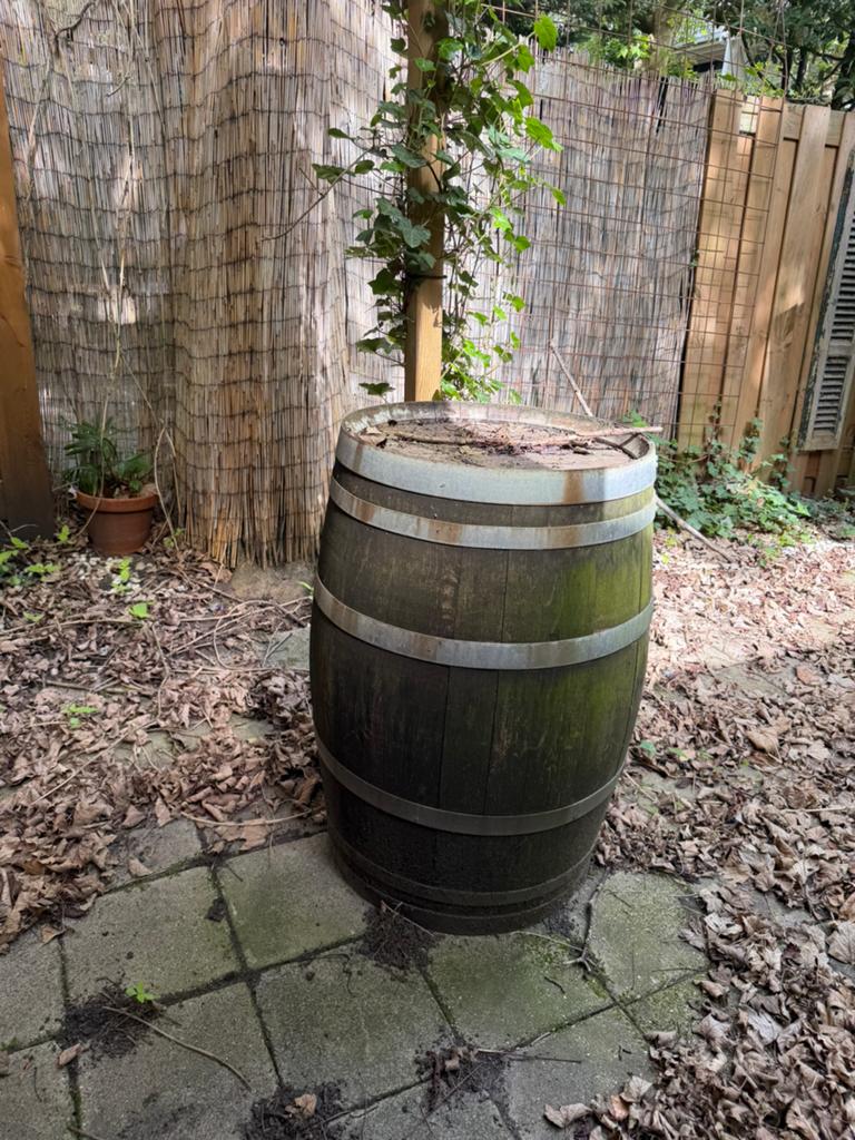 Wijnvat / Regenton van hout, Gebruikt, Minder dan 60 cm, Rond, Ophalen of Verzenden
