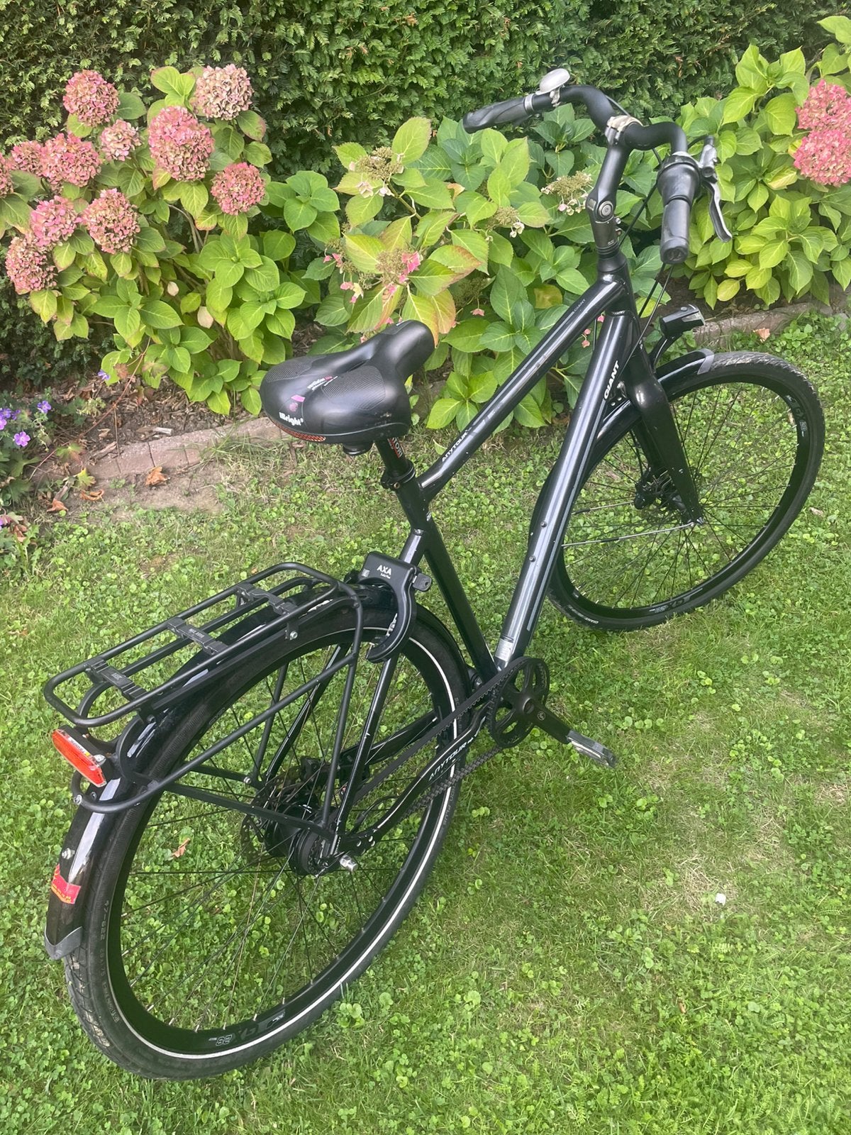 Giant Anytour met belt aandrijving Nexus 8  maat L, Ophalen, Gebruikt, Versnellingen, Giant