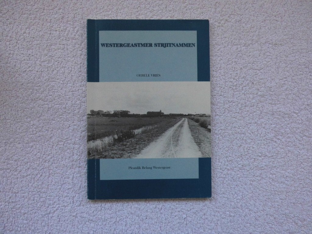 Westergeastmer Strjitnammen - Oebele Vries, Ophalen of Verzenden, Oebele de Vries, 20e eeuw of later, Gelezen