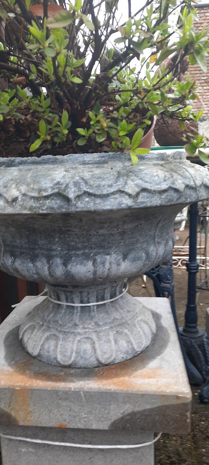 Decoratieve betonnen bloempot met plant, Tuin en Terras, Ophalen, Steen, Gebruikt, Minder dan 60 cm