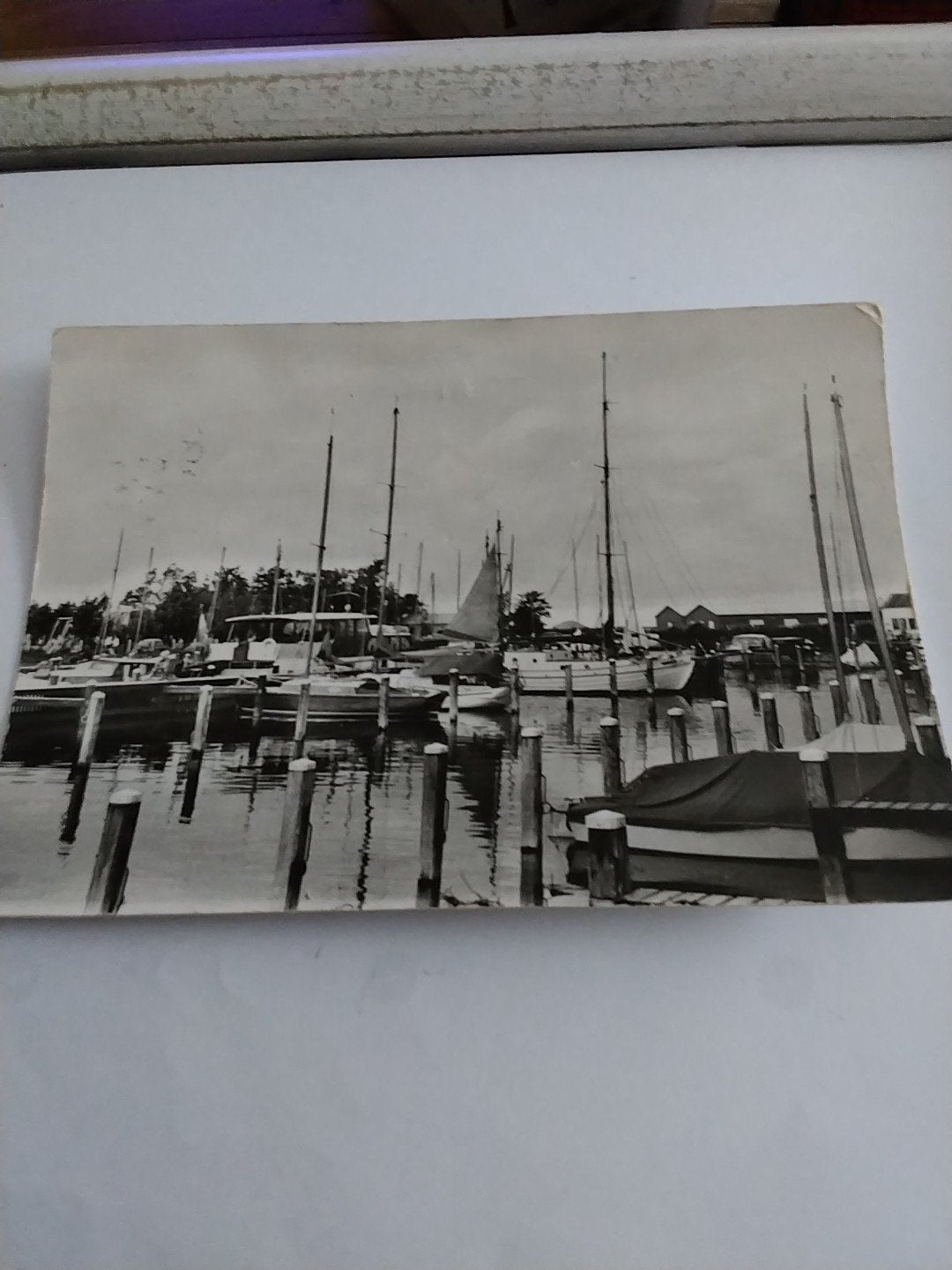 Oude Ansichtkaart Harderwijk Jachthaven, Ophalen of Verzenden, Voor 1920, Gelopen, Gelderland