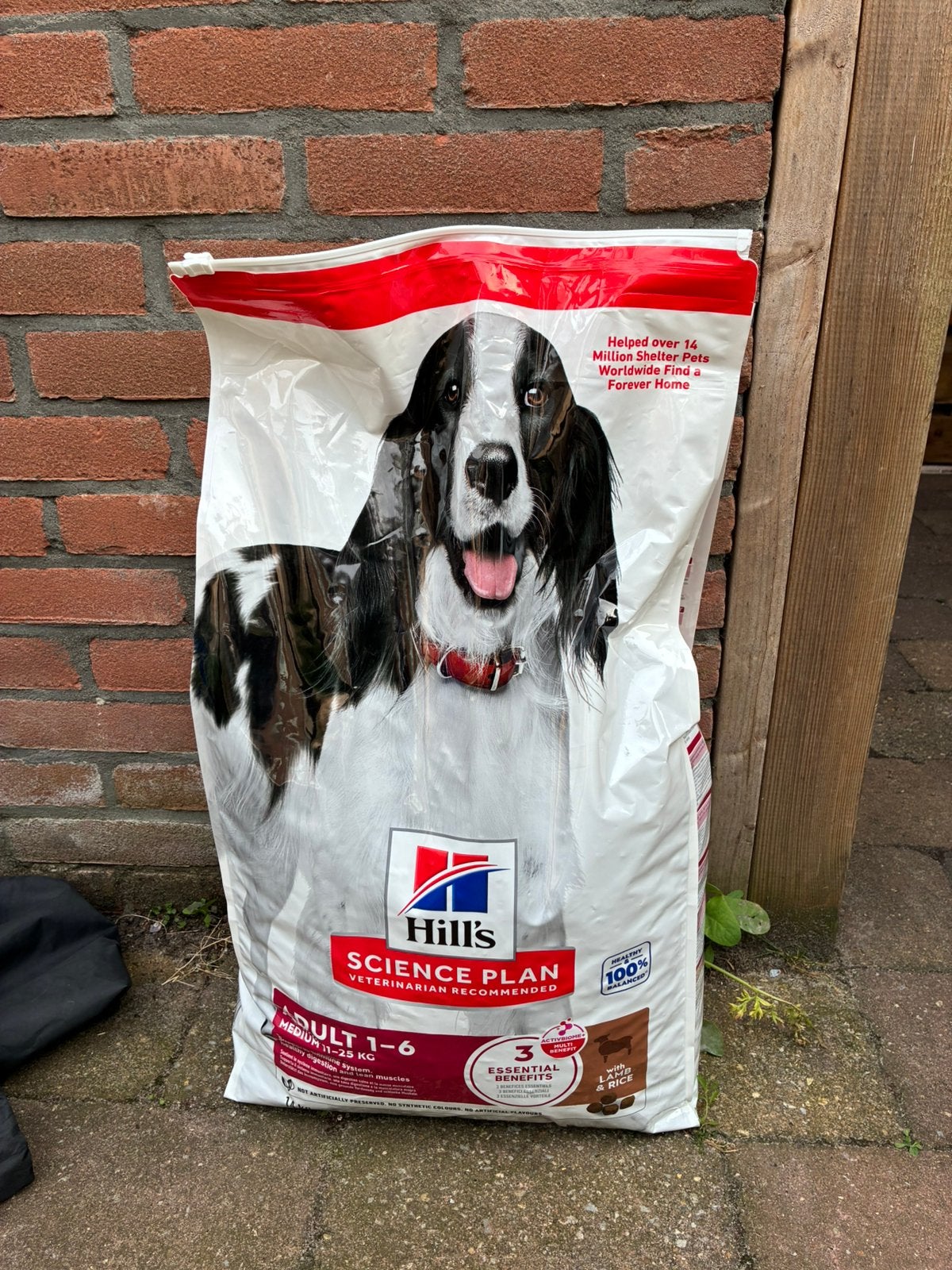 Hill’s hondenbrokken (lams), Dieren en Toebehoren, Ophalen, Hond