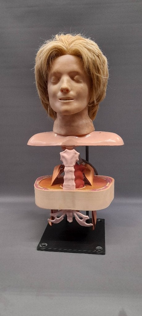 Rariteiten freeky creepy doll decoratie wunderkammer, Ophalen of Verzenden