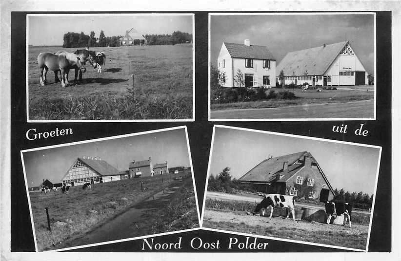 380-183-007 Noord Oost Polder, Verzenden, Voor 1920, Flevoland