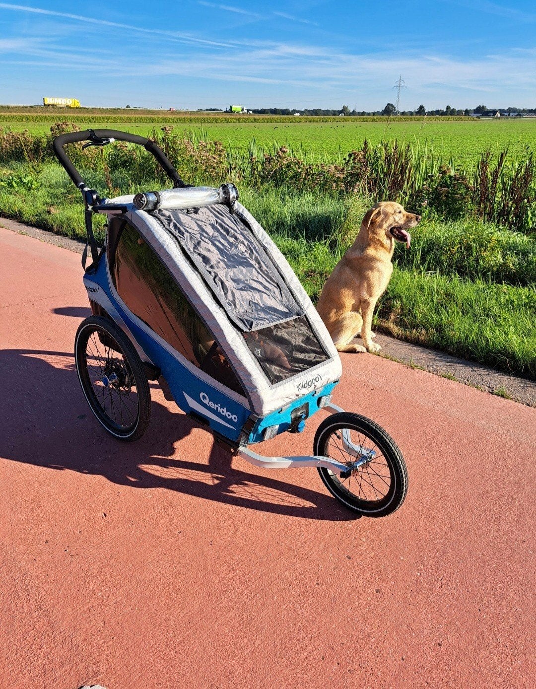 Qeridoo Kidgoo1 Sport  - Hardloop, Fietskar en Wandelwagen, Ophalen, Kinderkar, 40 tot 60 kg, Opvouwbaar