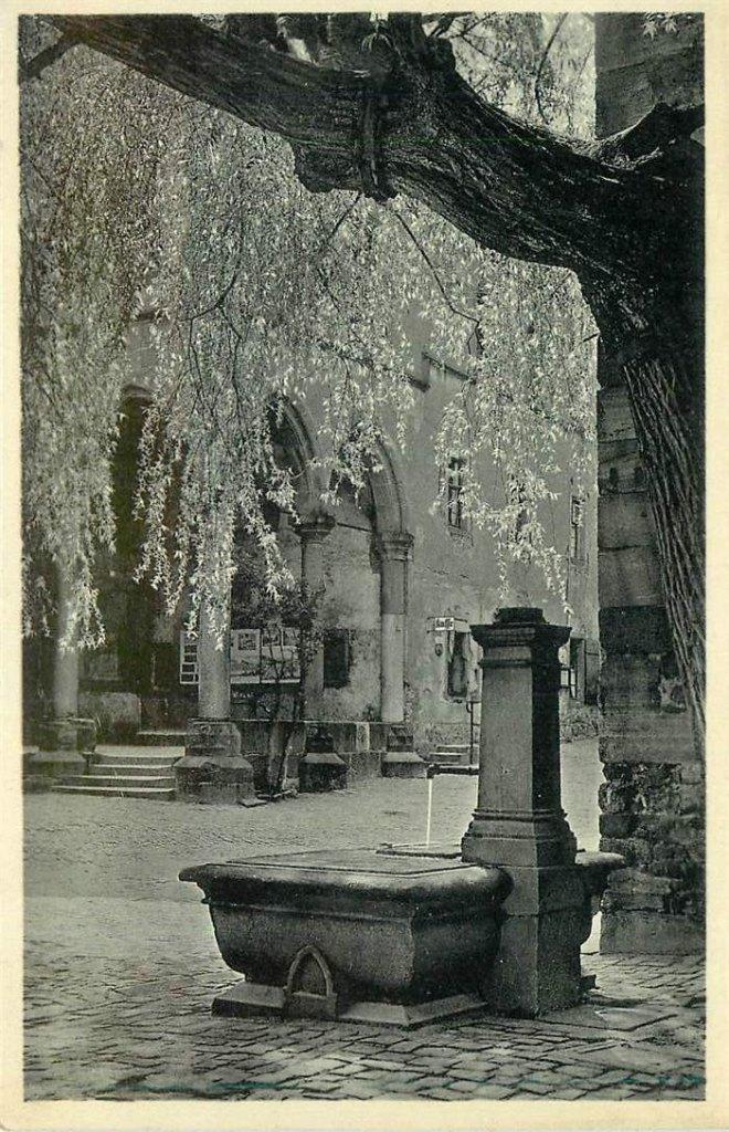 381-221-037 Fruhling in Heidelberg, Verzenden, Voor 1920, Duitsland