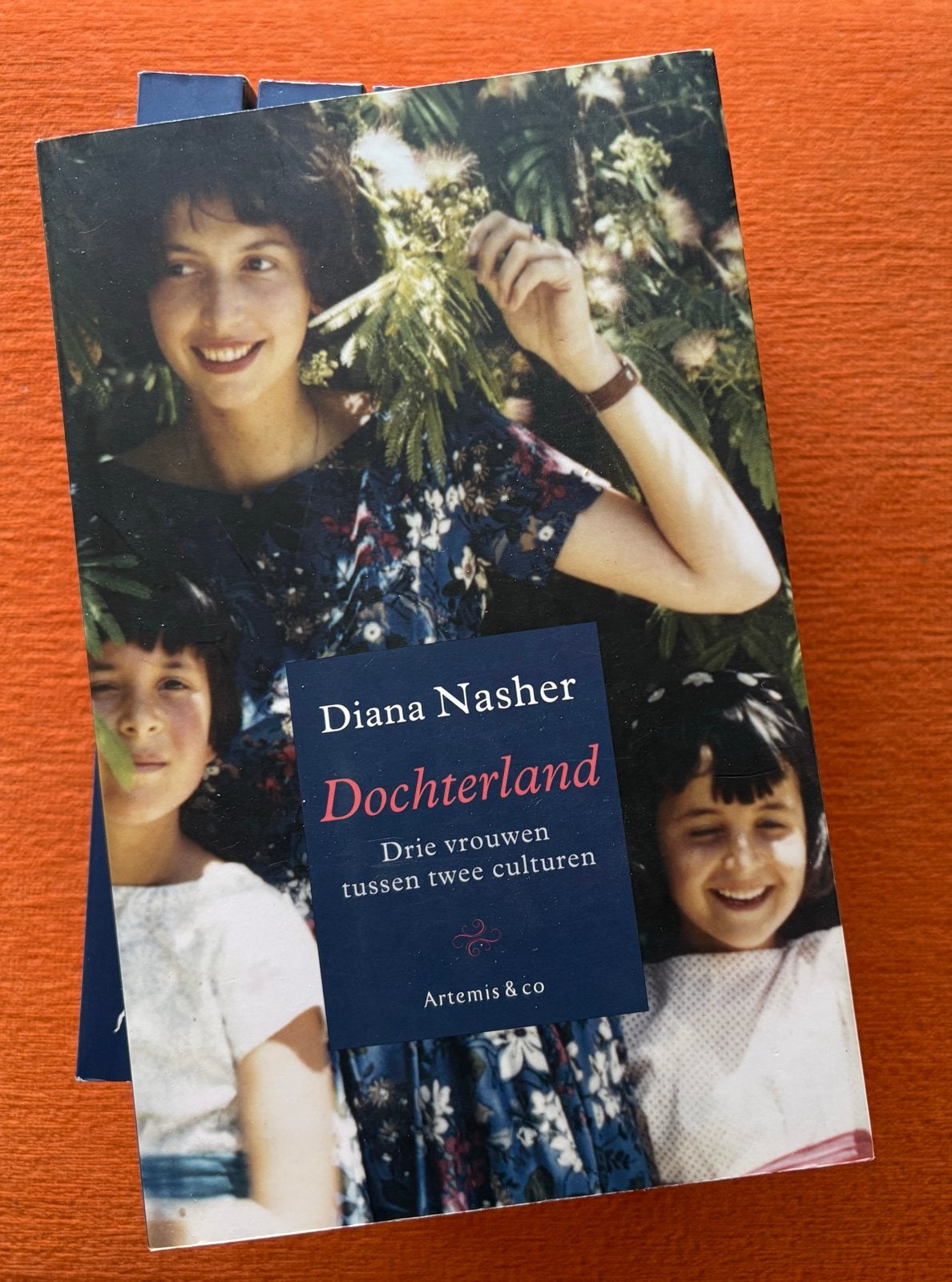6. Dezelfde boeken  boekenleesclub D. Nasher - Dochterland, Ophalen of Verzenden, Nieuw, Diana Nasher
