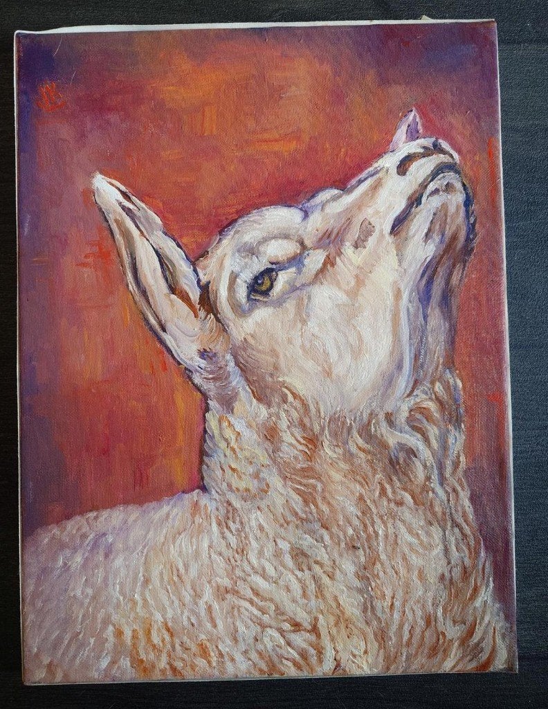 Schilderij lam 40 x 30 cm, Ophalen of Verzenden, Dieren