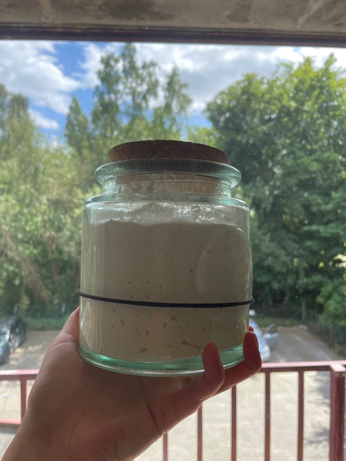 Zuurdesem (bio) - Sourdough - Masa Madre, Diversen, Ophalen