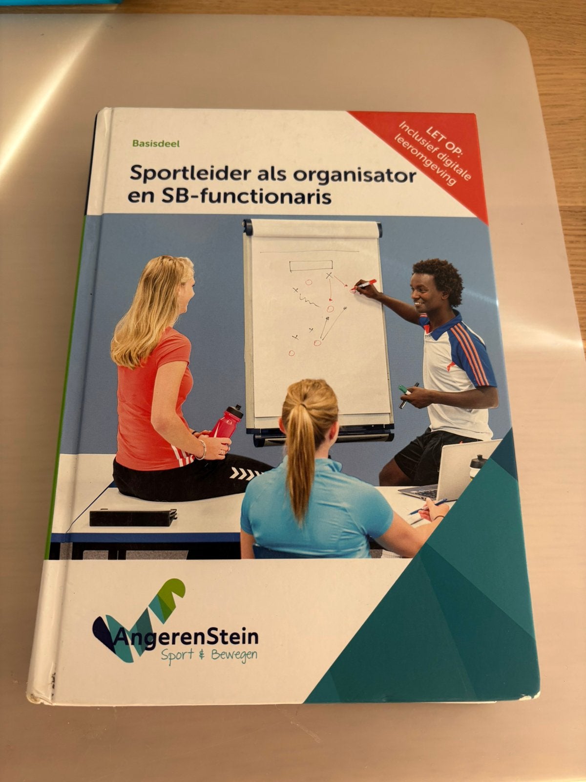 Schoolboeken Sport en Bewegen niveau 3 & 4 (Angerenstein), Boeken, Schoolboeken, Ophalen, Zo goed als nieuw, Overige niveaus, Overige vakken