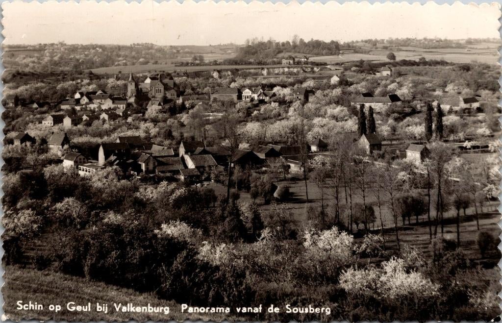 Schin op Geul - Panorama vanaf de Sousberg (1962)