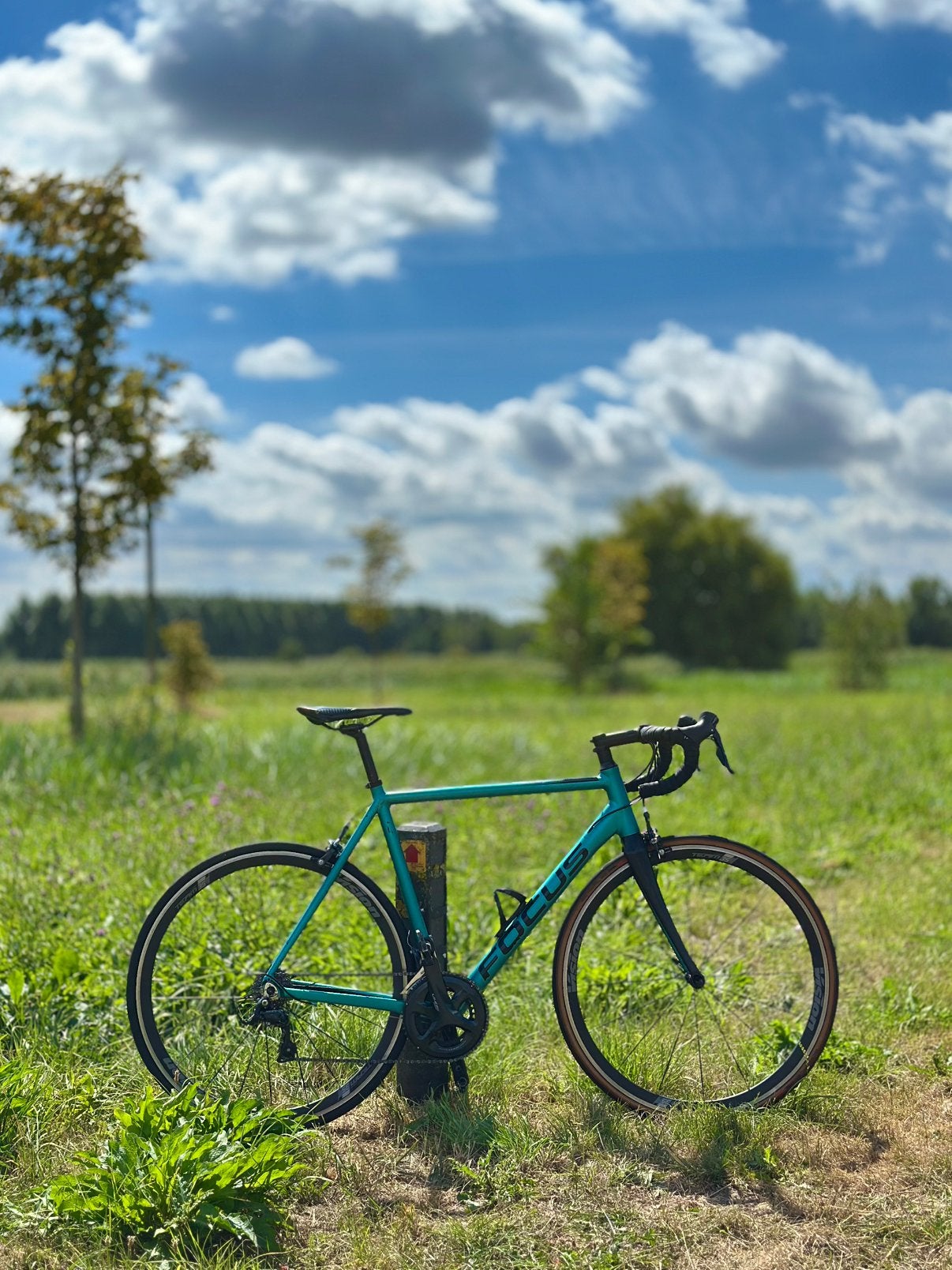Focus Izalco Racefiets | 57 |Shimano Sora|Vision Team 35 SL, 28 inch, Gebruikt, Aluminium, 15 tot 20 versnellingen