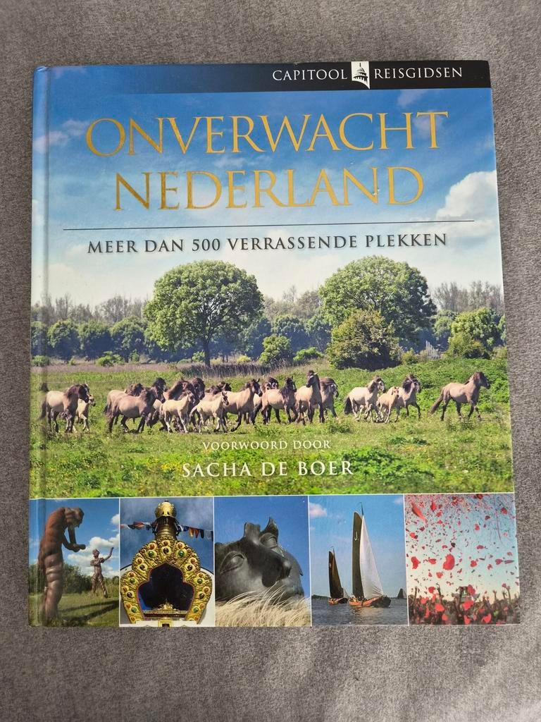 Onverwacht Nederland - capitool reisgidsen, Boeken, Reisgidsen, Capitool, Bartho Hendriksen, Nieuw, Ophalen of Verzenden
