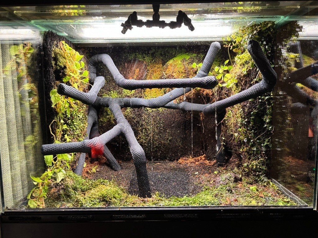 Prachtig compleet kikkerterrarium 60x50x50 met onderkast Frog photo 3