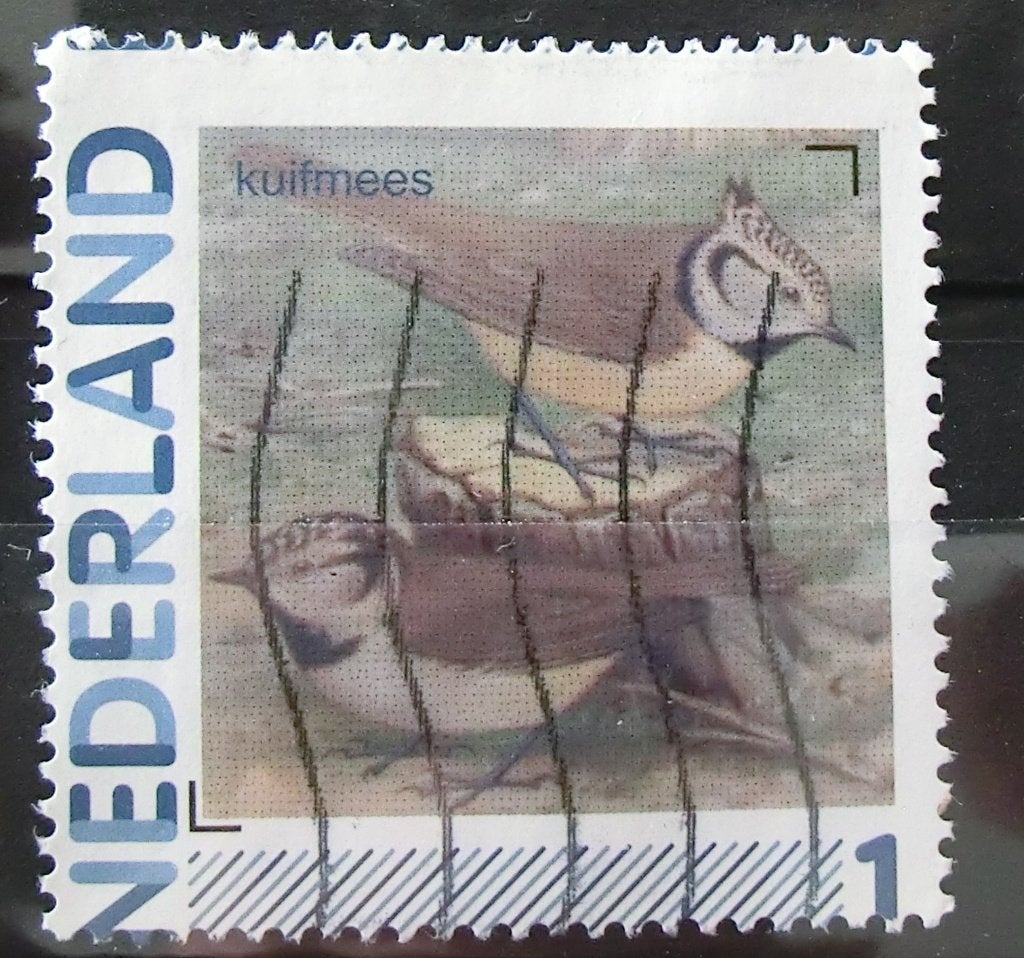 persoonlijke postzegel, Vogels, gest (lees aub), stans!!, Ophalen of Verzenden, Na 1940, Gestempeld