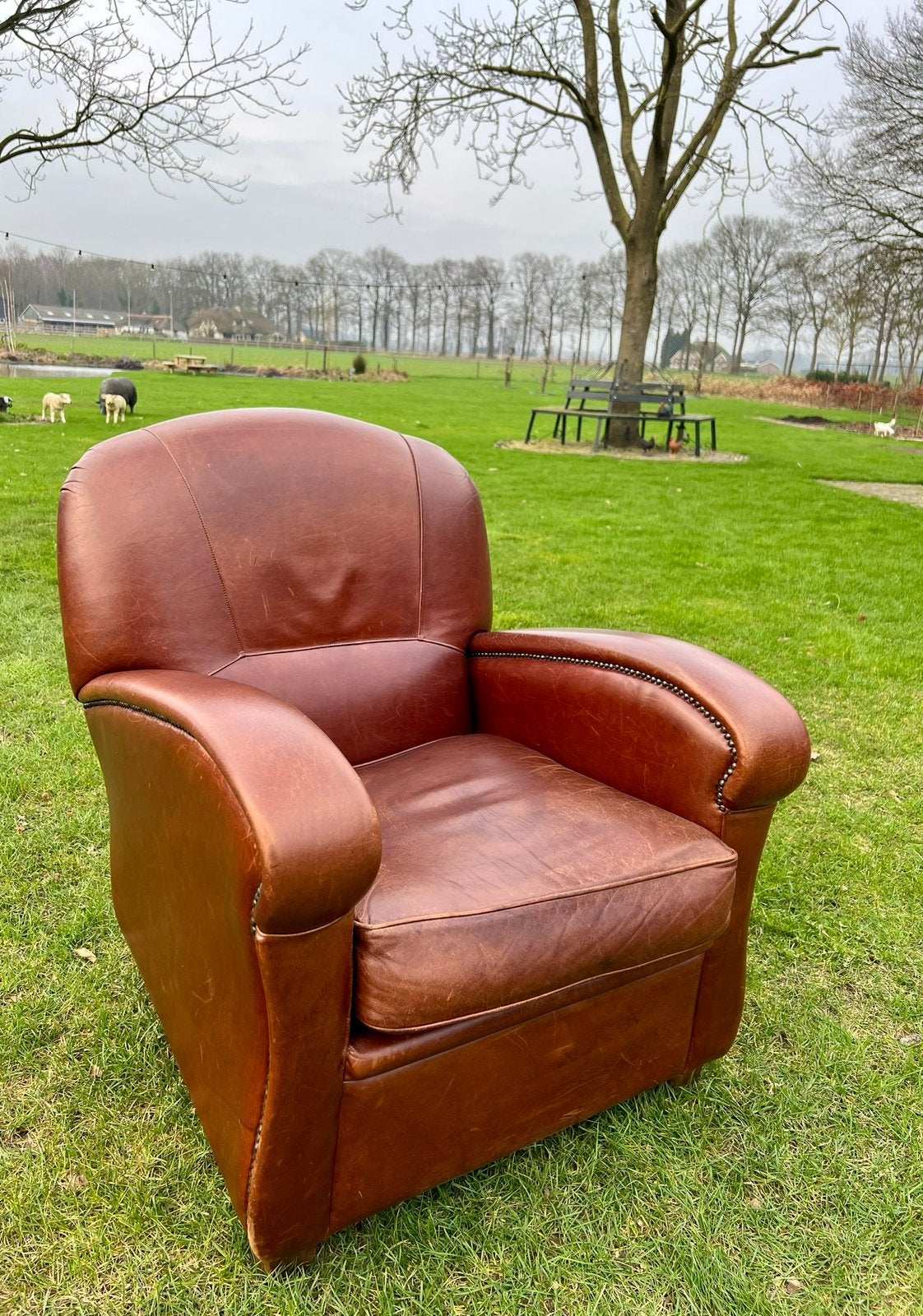 Leren fauteuil meeneemprijs €99, Ophalen, Zo goed als nieuw, 75 tot 100 cm, 50 tot 75 cm