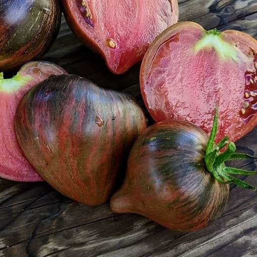 5 soorten tomatenplantjes voor moestuin, kweekbak of kas, Ophalen, Minder dan 100 cm, Overige soorten, Zomer