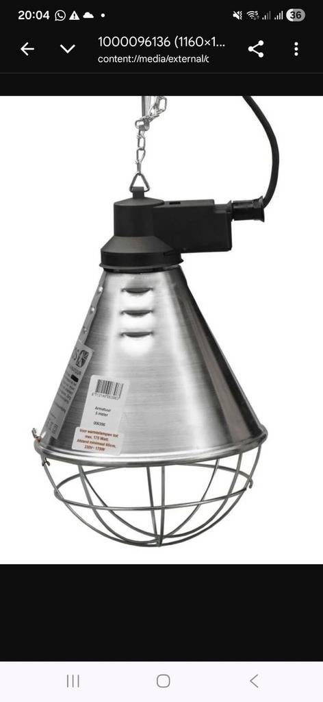 Te koop gevraagd warmte lamp voor kuikens, Dieren en Toebehoren, Pluimvee, Geslacht onbekend, Kip