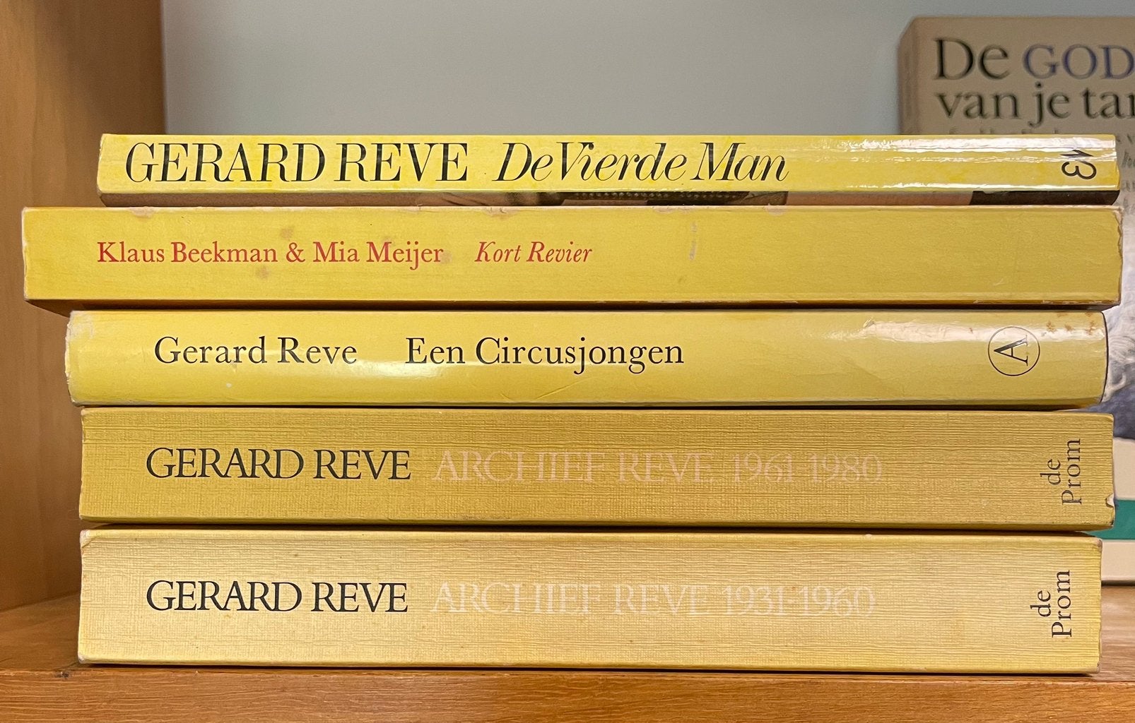 DIVERSE BOEKEN VAN SCHRIJVER GERARD REVE, Ophalen of Verzenden, Gelezen, Nederland