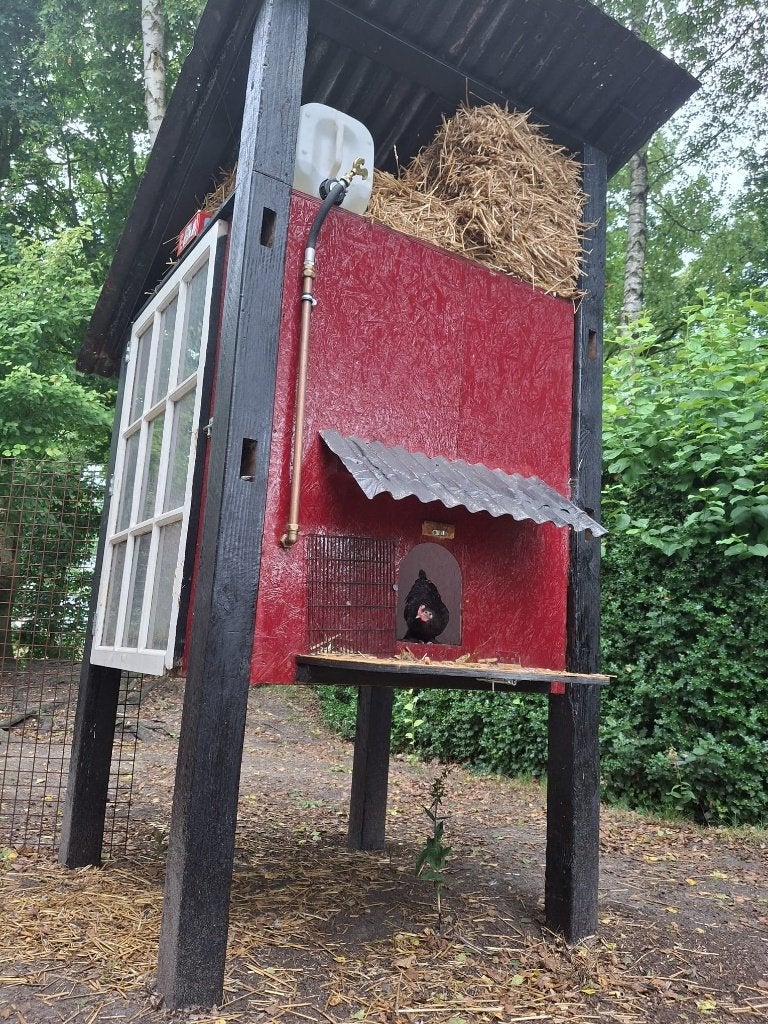 Robuust Kippenhok / Kippenvilla met hooizolder, Ophalen, Kippenhok of Kippenren, Nieuw