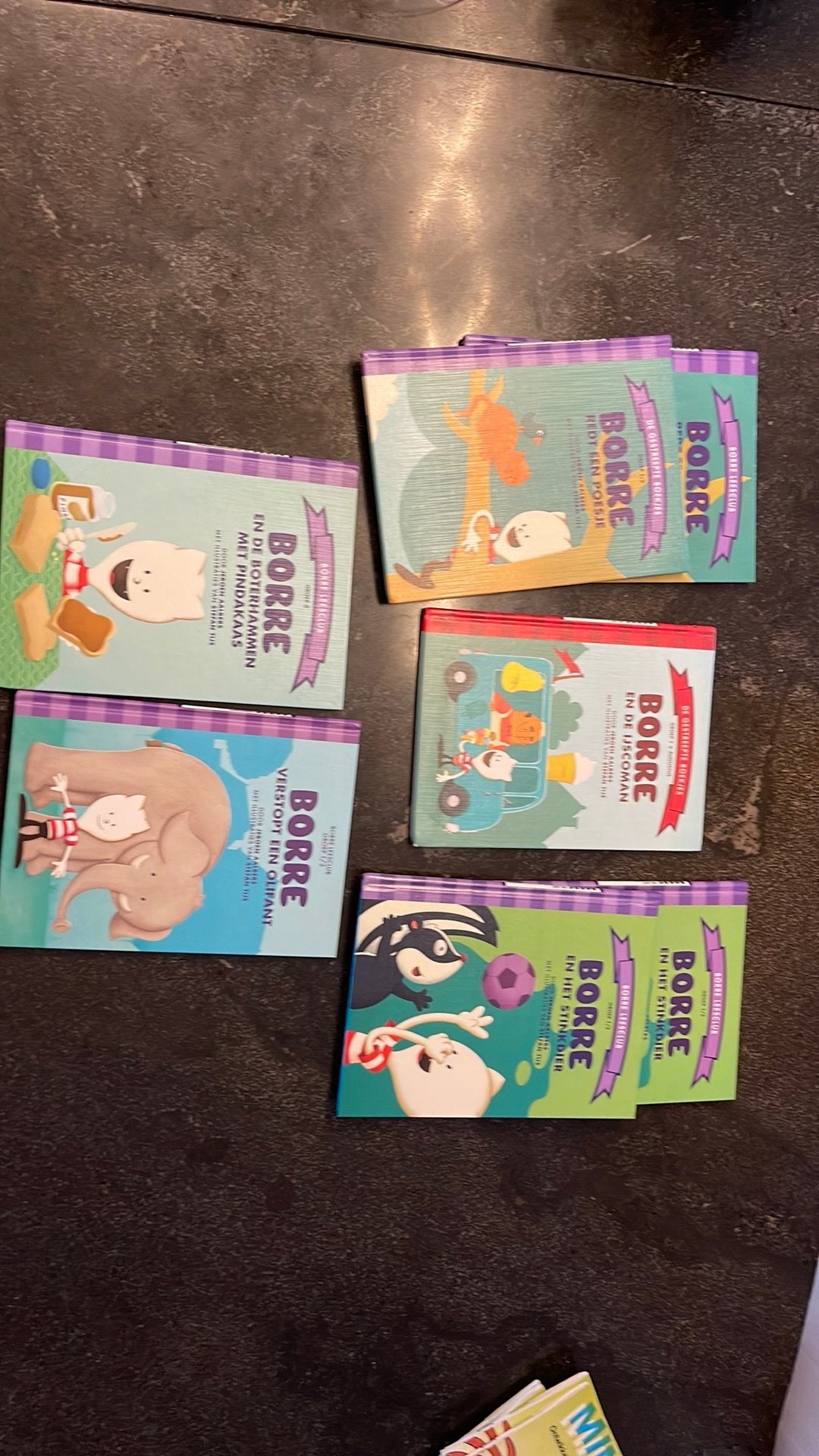 Borre borkjes 1 rood 1/2 paars, Boeken, Ophalen, Zo goed als nieuw, 3 tot 4 jaar