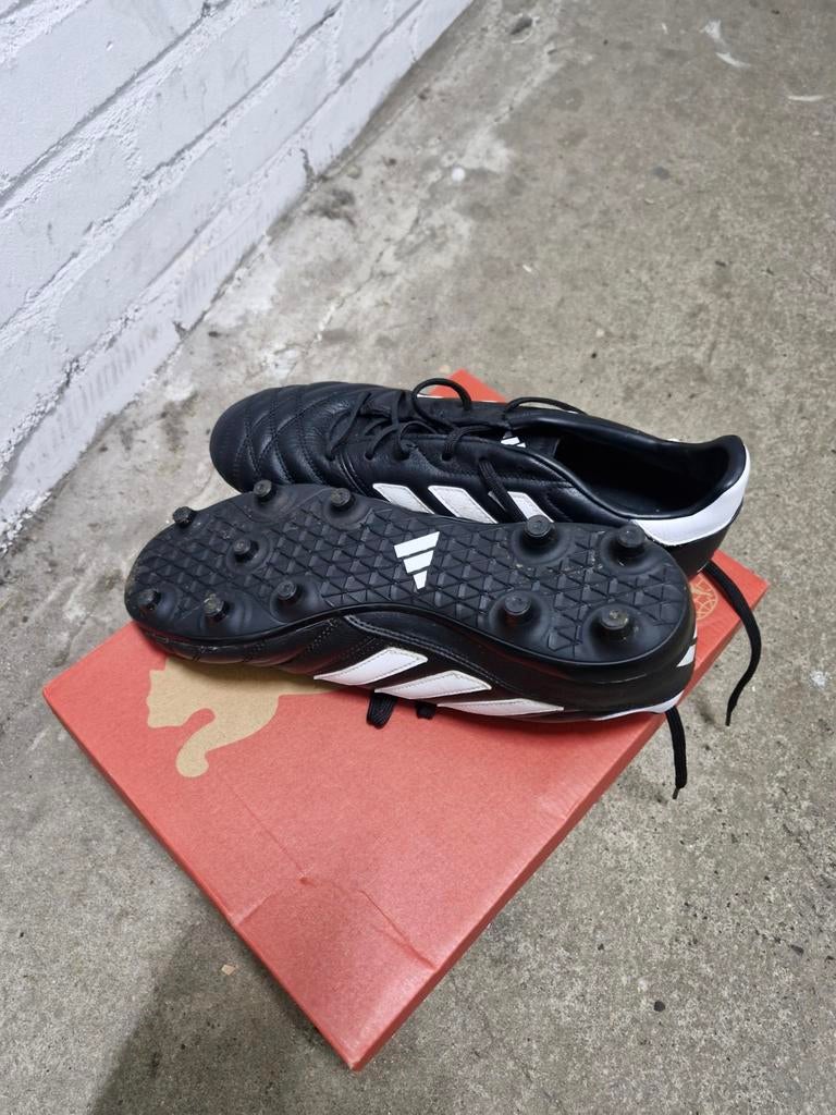 Adidas voetbalschoenen maat 44, Ophalen of Verzenden, Nieuw, Schoenen