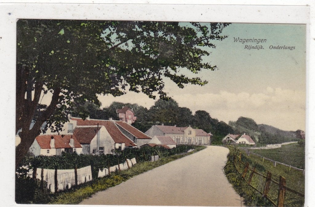 Wageningen-Rijndijk Onderlangs circa 1908, Ophalen of Verzenden, Voor 1920, Ongelopen, Gelderland