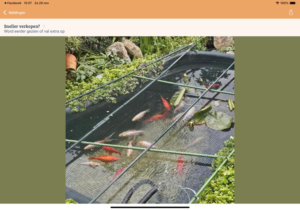 Complete vijver, Tuin en Terras, Ophalen, Gebruikt, Vijverpomp