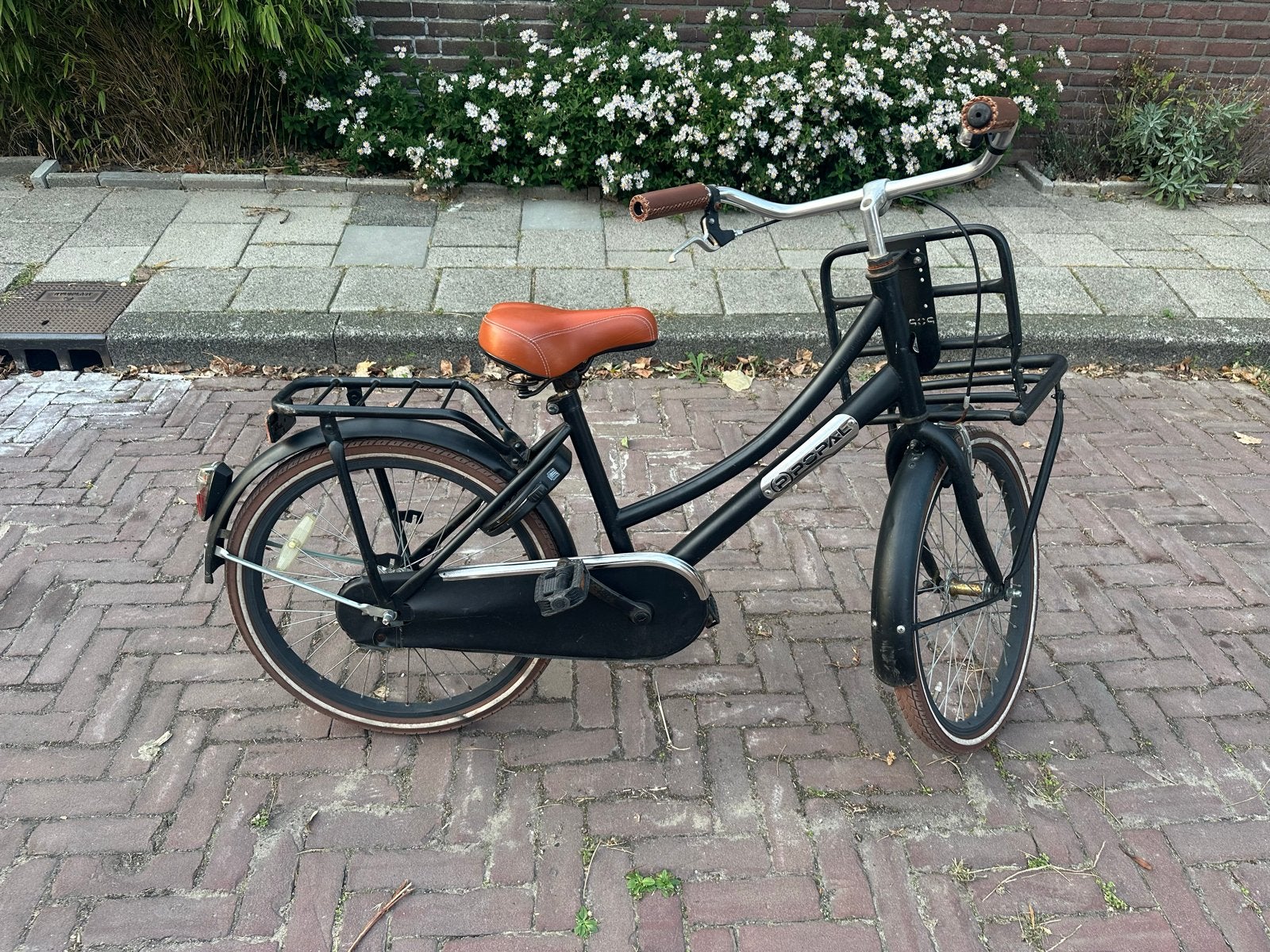 Popal kinderfiets 22 inch - Nieuw zadel en handvatten, Ophalen, Gebruikt, Terugtraprem, 20 inch of meer