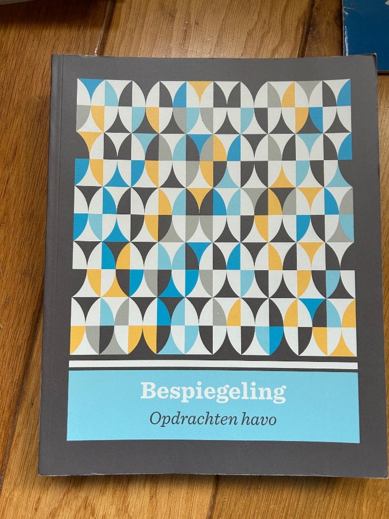 Bespiegeling Havo Kunstgeschiedenis NEW! Groenendijk, Groenendijk, Geschiedenis, Ophalen of Verzenden, HAVO