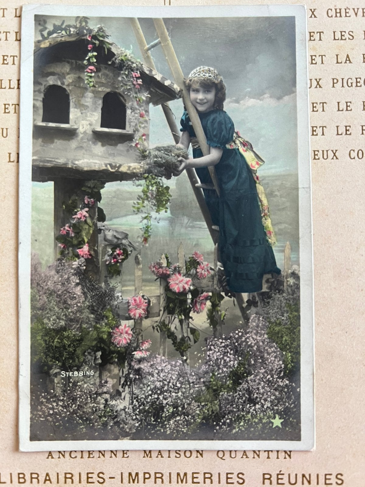 Meisje op ladder bij duiventil (VD), Ophalen of Verzenden, Voor 1920, Gelopen, Kinderen