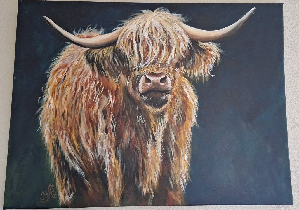 Schilderij Schotse hooglander, Ophalen, 50 – 75, Zo goed als nieuw, Schilderij