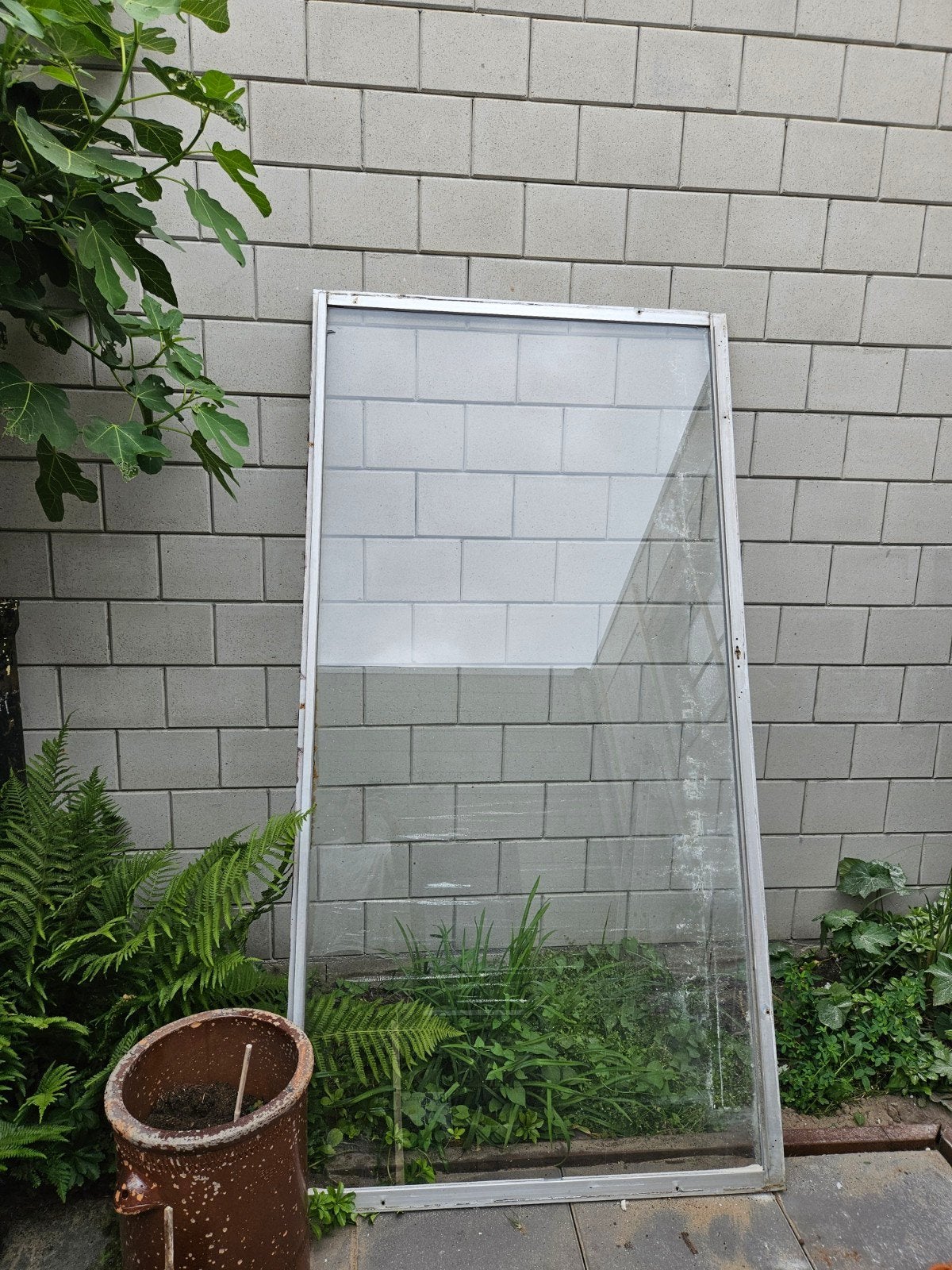 Groot glas raam aluminium lijst voor plantenkas/kas, Tuin en Terras, Kassen, Ophalen, Gebruikt, Kweekkas, Glas