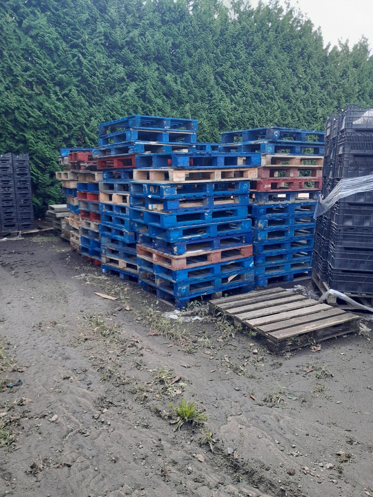 pallets 100/120, Zakelijke goederen, Ophalen, Overige categorieën