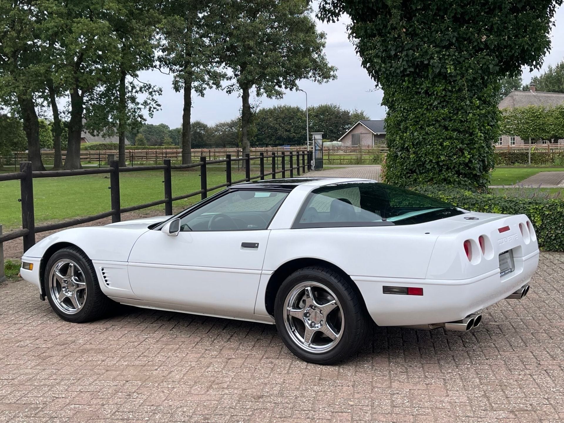 Chevrolet USA Corvette C4 LT1 1996 , 53254 km NL-kenteken, foto 3