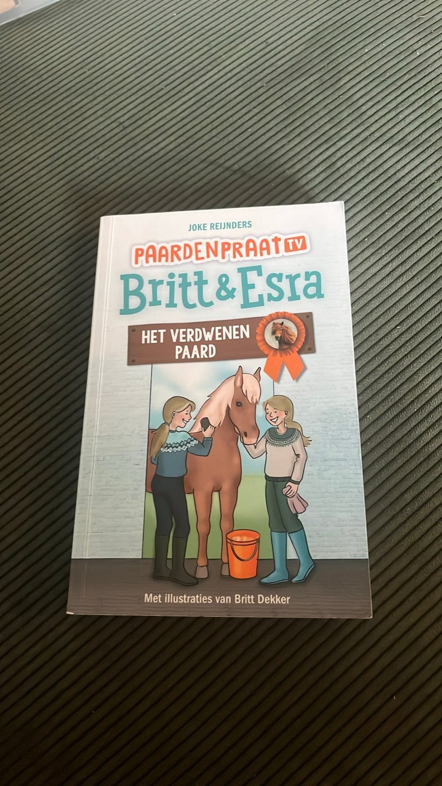 Paardenpraat TV Britt & Esra: Het Verdwenen Paard, Ophalen of Verzenden, Zo goed als nieuw, Fictie algemeen