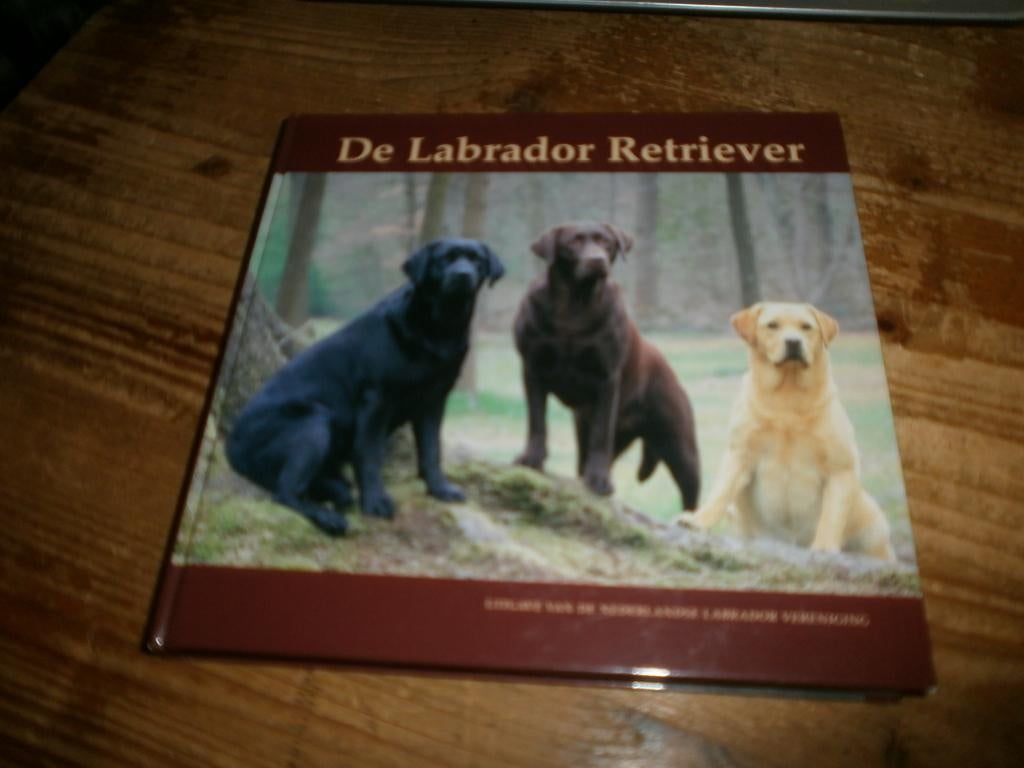 de labrador retriever mooi boek veel info over het ras en, Ophalen of Verzenden, Nieuw, Overige onderwerpen