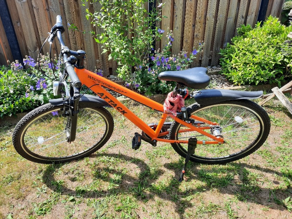 leuke fiets !, Terugtraprem, Gebruikt, Versnellingen, Ophalen