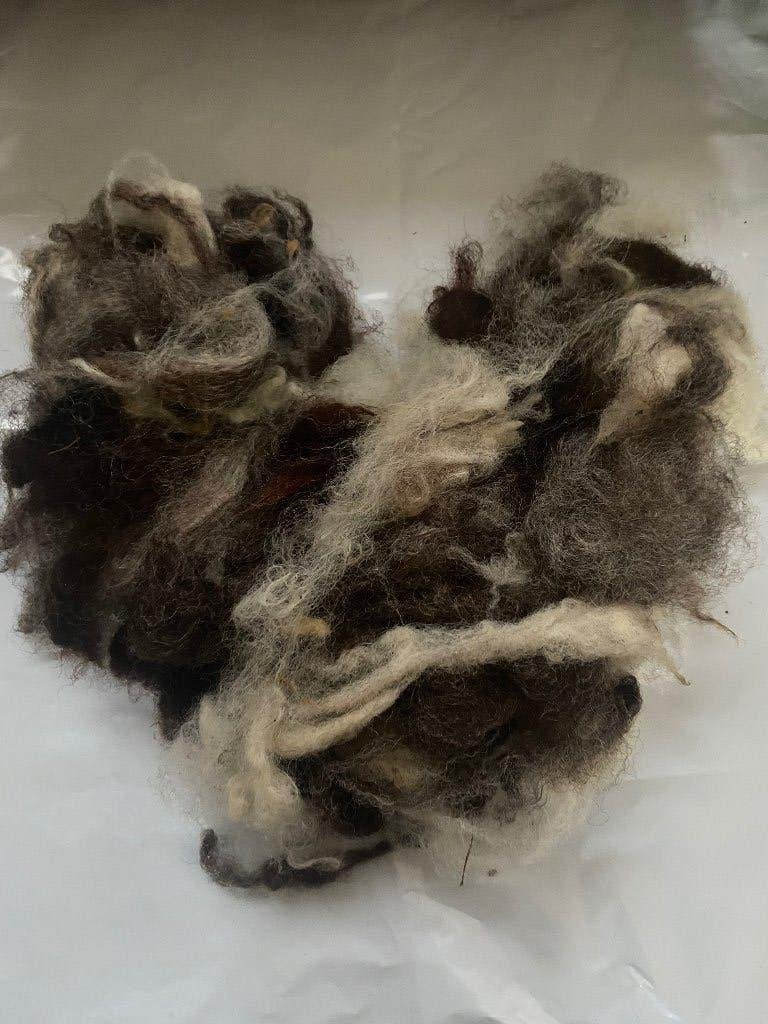 Gewassen schapenwol – 100% natuurlijk & biologisch, Hobby en Vrije tijd, Ophalen of Verzenden, Nieuw, Spinwol