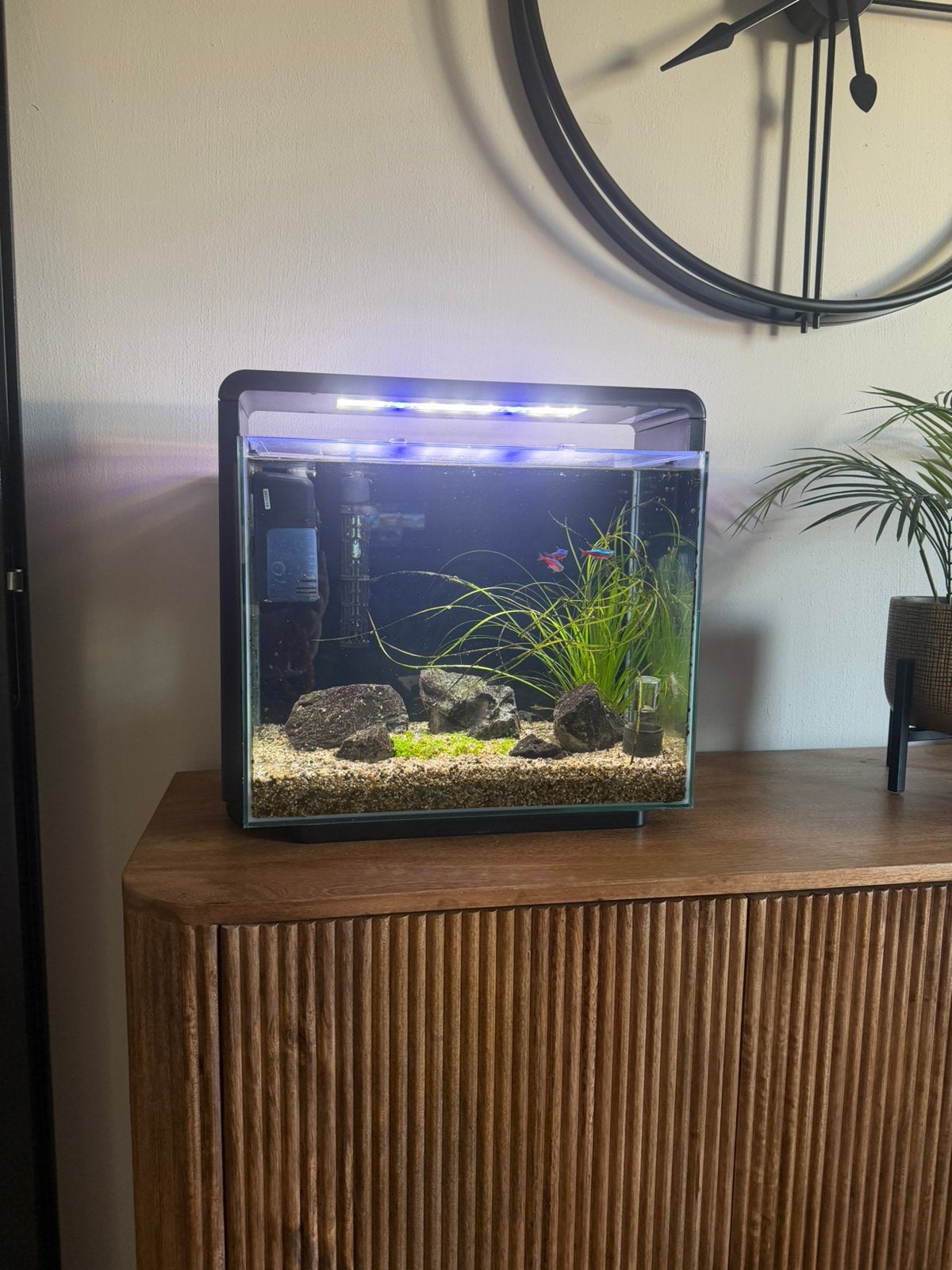 Aquarium superfish home 45, Dieren en Toebehoren, Ophalen, Gebruikt, Overige typen, Superfish