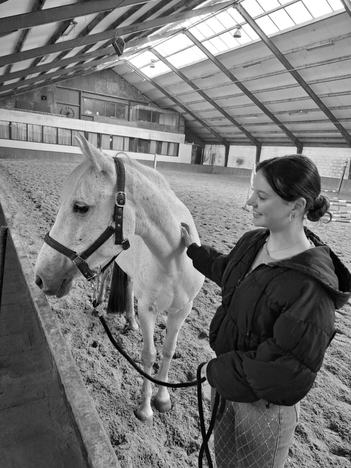 Bijrijd paard gezocht, Dieren en Toebehoren, Ophalen of Verzenden, Zo goed als nieuw