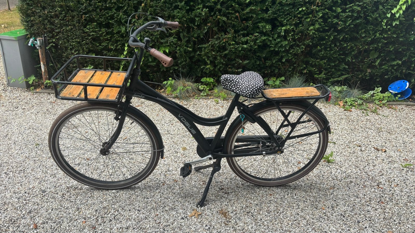 Vogue Jumbo Damesfiets met Bamboe Dragers, Terugtraprem, Versnellingen, Ophalen, Overige merken