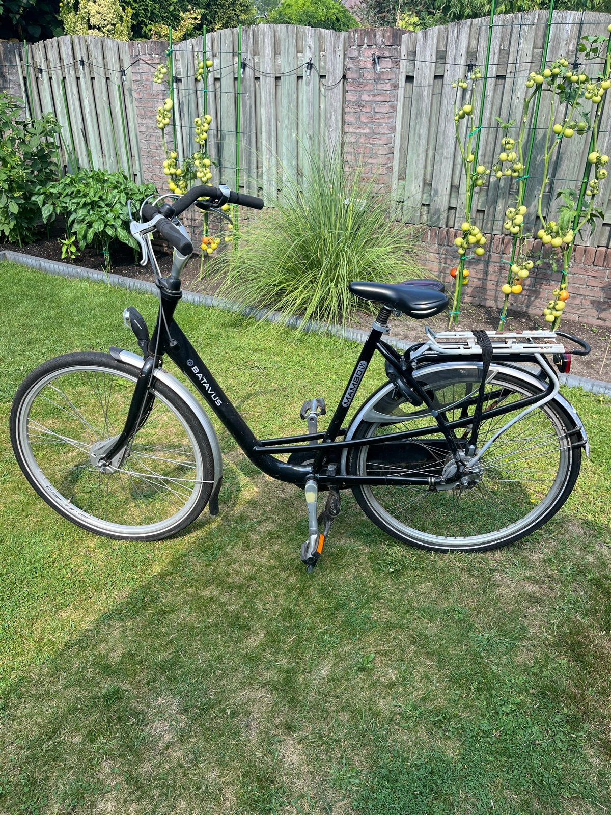 Batavus Mambo de Luxe, Ophalen, Velgrem, Batavus, 53 tot 56 cm