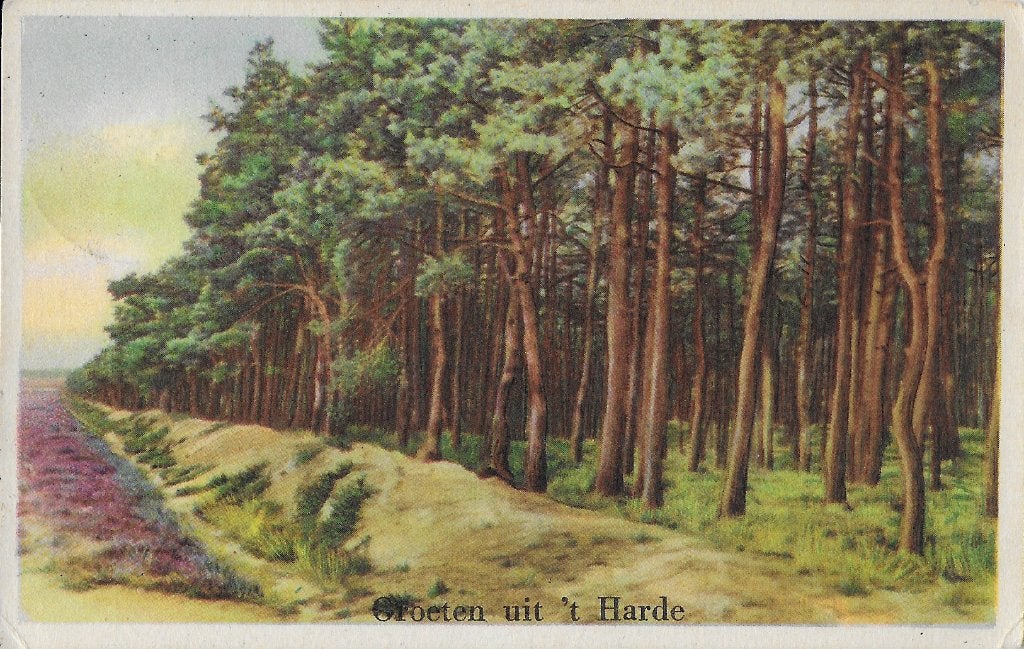 't Harde Oude Gelopen Ansichtkaart ( 2033), Ophalen of Verzenden, 1960 tot 1980, Gelopen